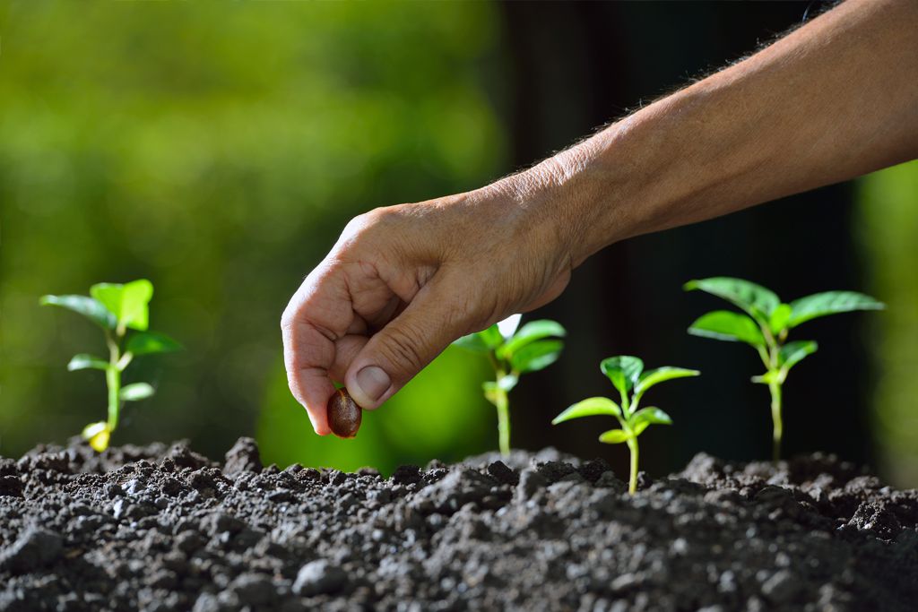 Adaptation to Climate Change trainingheights upcoming courses
